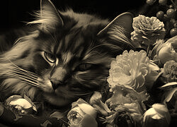 Sepia