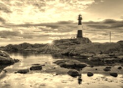 Szary + Sepia