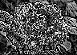 Skamielina