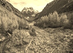 Szary + Sepia