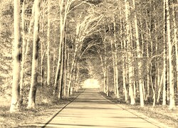 Sepia + Negatyw