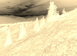 Sepia + Negatyw