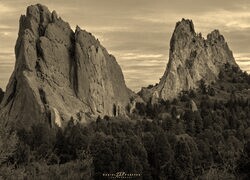 Szary + Sepia