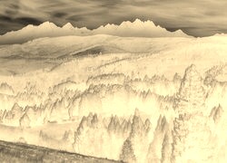 Sepia + Negatyw