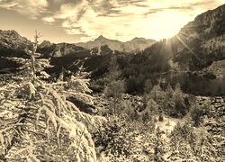 Sepia