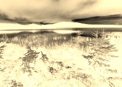 Sepia + Negatyw