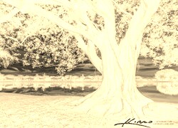 Sepia + Negatyw