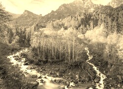 Sepia