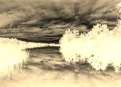 Sepia + Negatyw