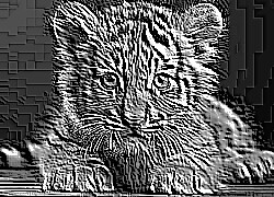 Skamielina