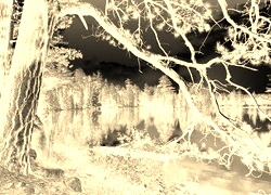 Sepia + Negatyw