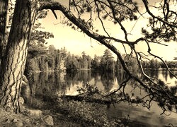 Sepia