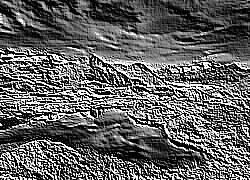 Skamielina