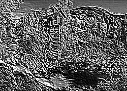 Skamielina