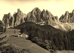 Szary + Sepia