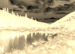 Sepia + Negatyw