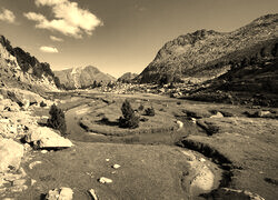 Sepia