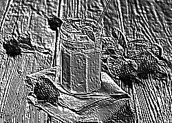 Skamielina