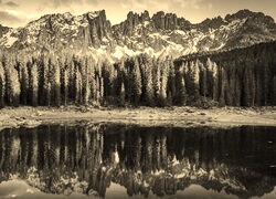 Szary + Sepia