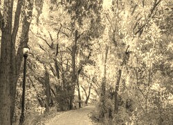 Sepia