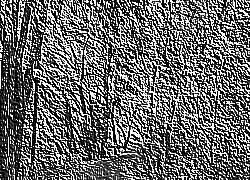 Skamielina