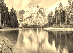 Szary + Sepia