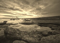 Szary + Sepia
