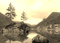 Szary + Sepia