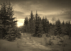 Sepia