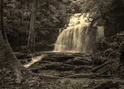 Szary + Sepia