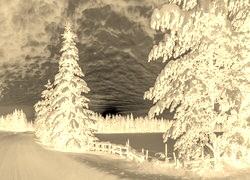 Sepia + Negatyw