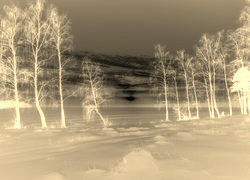 Sepia + Negatyw