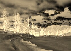 Sepia + Negatyw