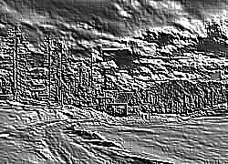 Skamielina