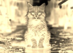 Sepia + Negatyw