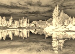 Sepia + Negatyw