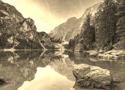 Szary + Sepia