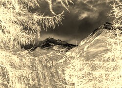 Sepia + Negatyw