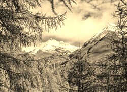 Szary + Sepia
