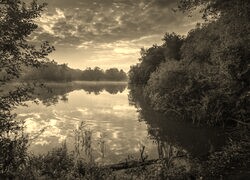Szary + Sepia