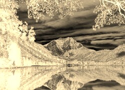 Sepia + Negatyw