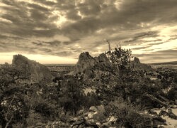 Szary + Sepia