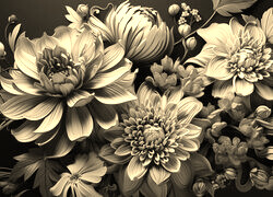Szary + Sepia