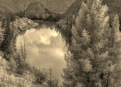 Sepia