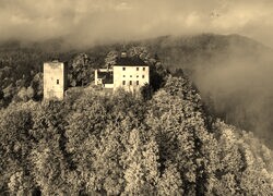 Szary + Sepia