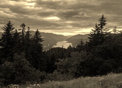 Szary + Sepia