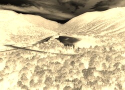 Sepia + Negatyw
