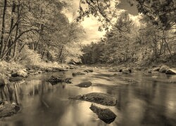 Sepia