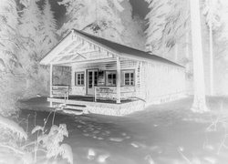 Szary + Negatyw