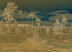 Negatyw